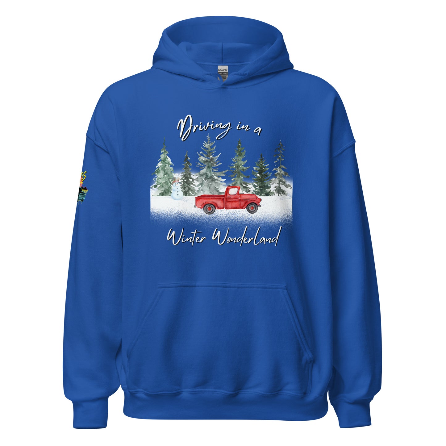 Driving In A Winter Wonderland Unisex Hoodie